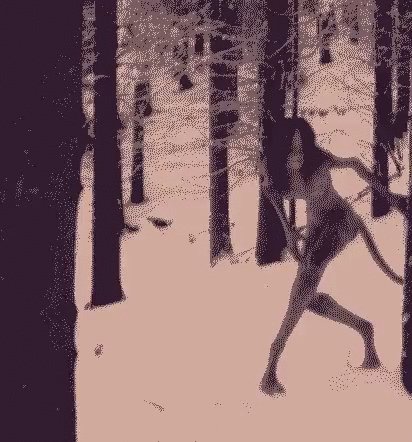 Chimera