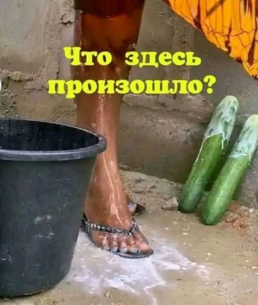 FB IMG 1789310570543