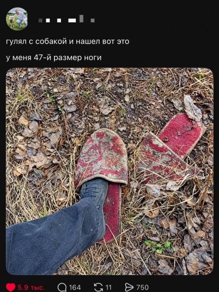 IMG 20260915 124000 853