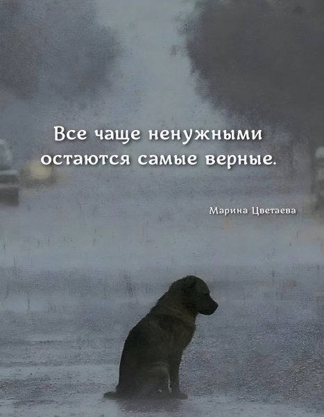 file_100085454
