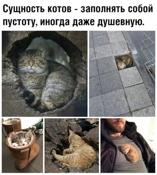 file_78708865