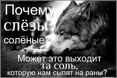 file_100491582