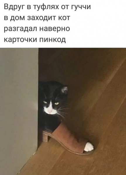 file_98178613