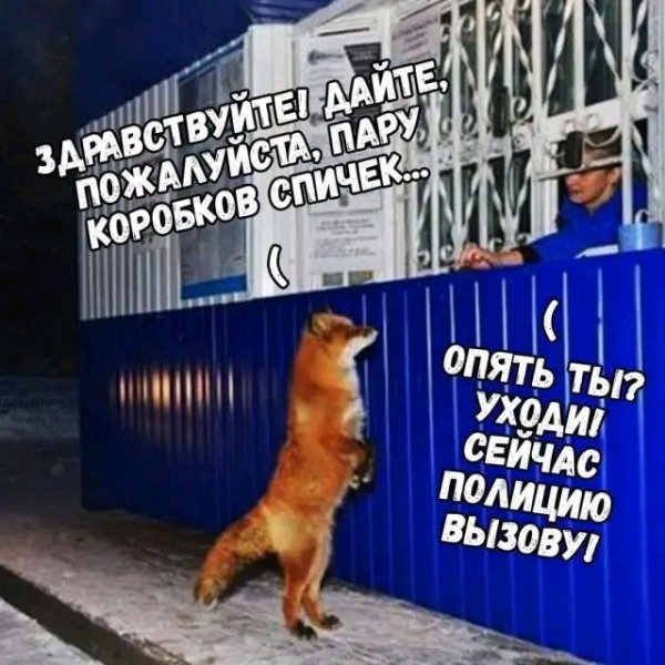 file_103552910