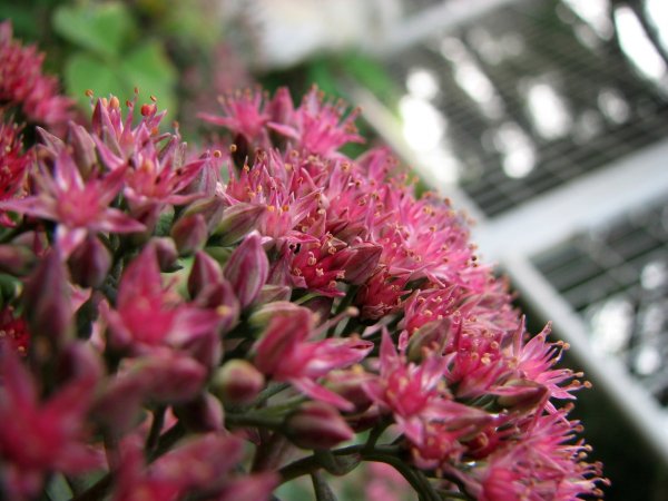 Img (9)