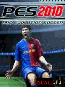 PES 2010 SE 176x220 ВТ