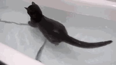 Пловец
