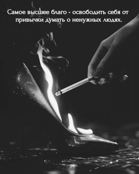 file_103272442