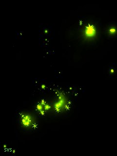 file_57780189