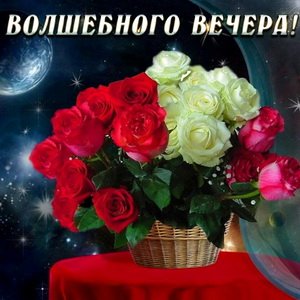 IMG 20190131 708751