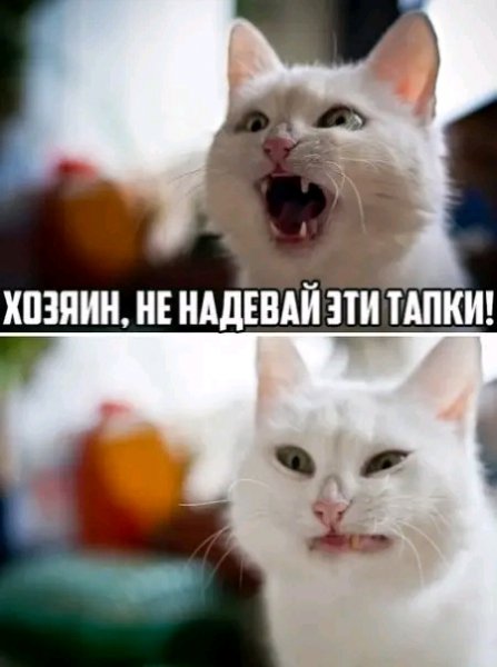 file_103504041
