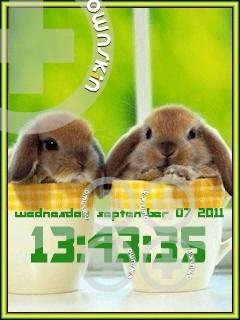 Flash clock20(57)