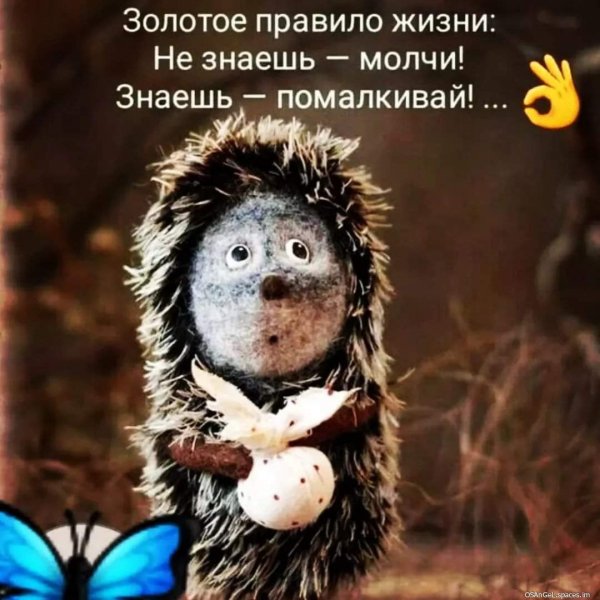 FB IMG 1688477702253-