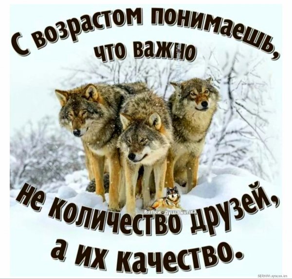 file_102383195