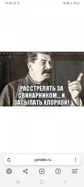 YDMFQAHa9rQ
