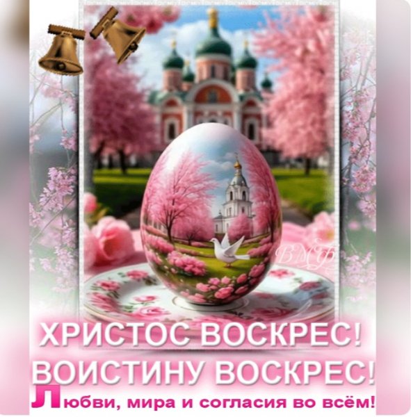 IMG 20260412 203220