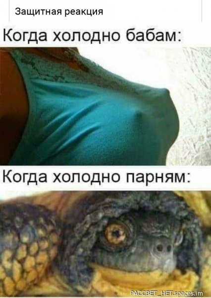 p.600.600.0-