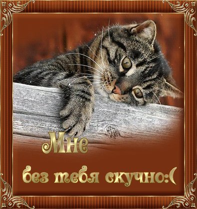 Мне без тебя скучно