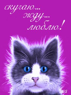 24-картинки-21