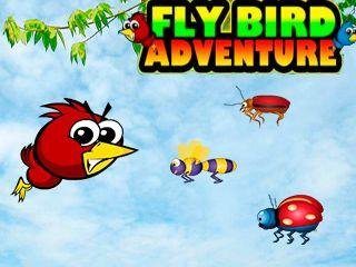 fly bird adventure