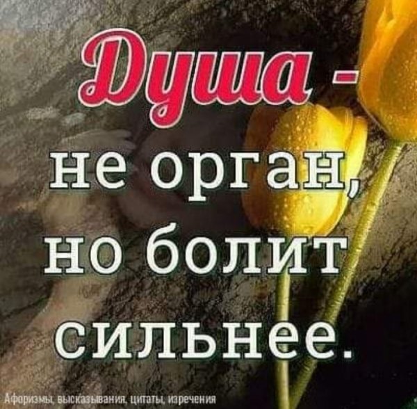 IMG 20230719 180004-