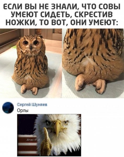 file_103505982