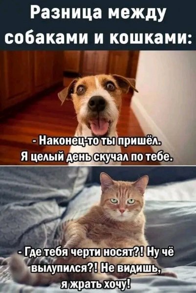 file_103506768