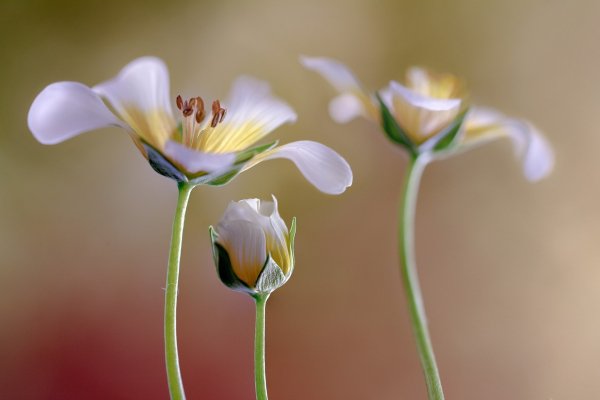 Img (69)