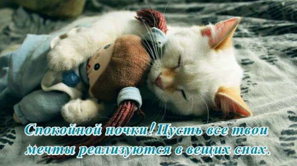 IMG 20181015 133543 234