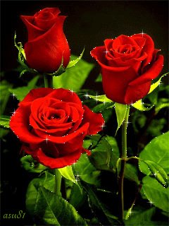 file_51955842