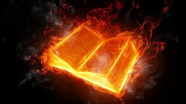 Ray X.. Открытая книга мудрости