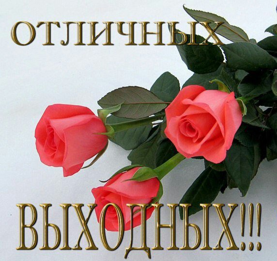 tsFyIvb--tE