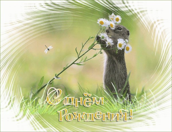 С Днём Рождения!