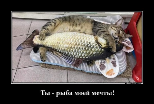 Ты рыба моей мечты