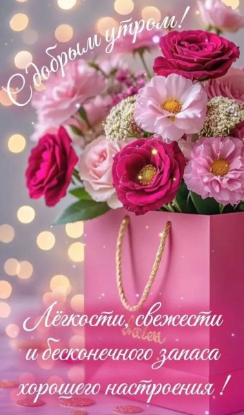 IMG 20260812 012332