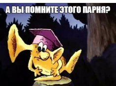 f.236.236.0