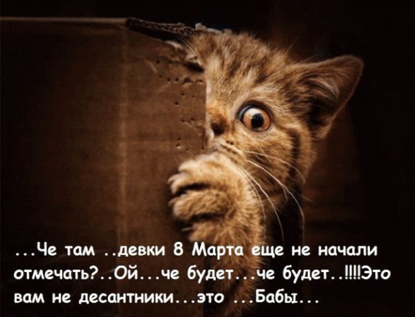 file_72696471
