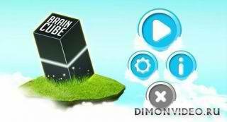 braincube