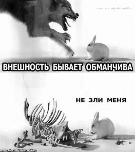 OdddQpEnvIQ