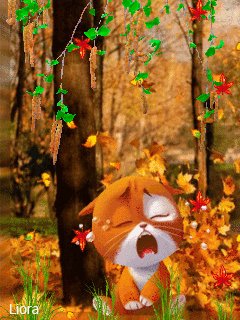 file_79321020