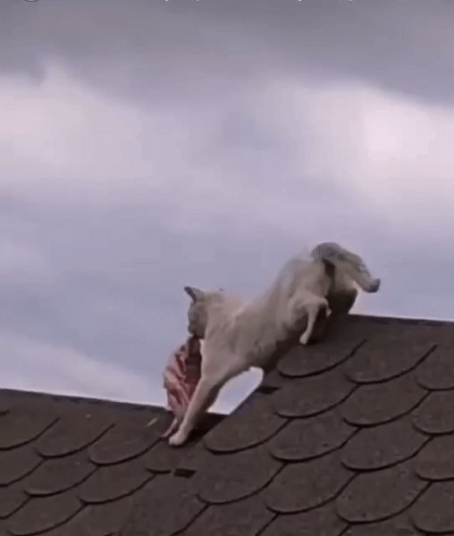 IMG 20230105 000416