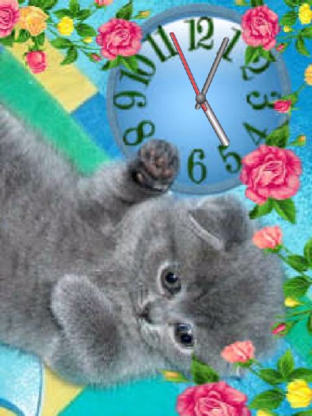 Кот в розах