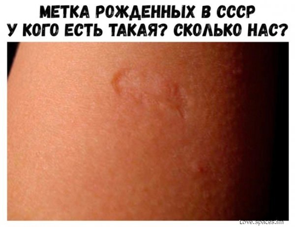 p.600.600.0-