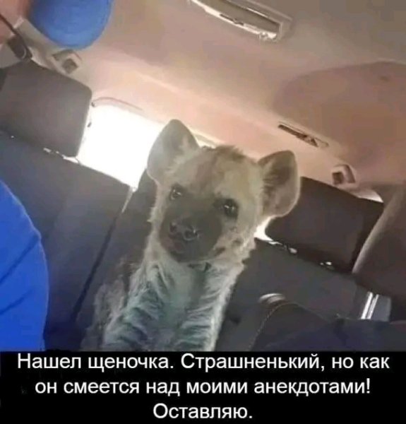 file_103551703