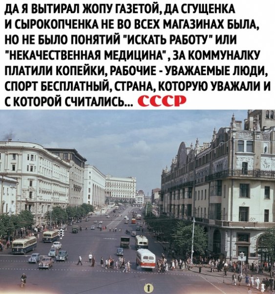 file_81562834