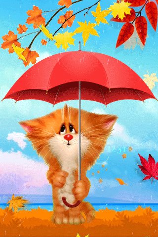 file_78938470