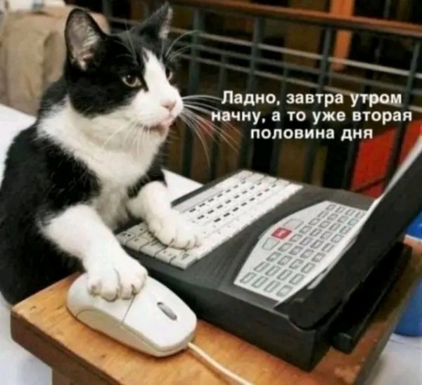 file_103505434