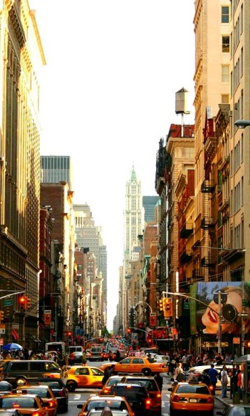 wallpaper 480x800 8 31