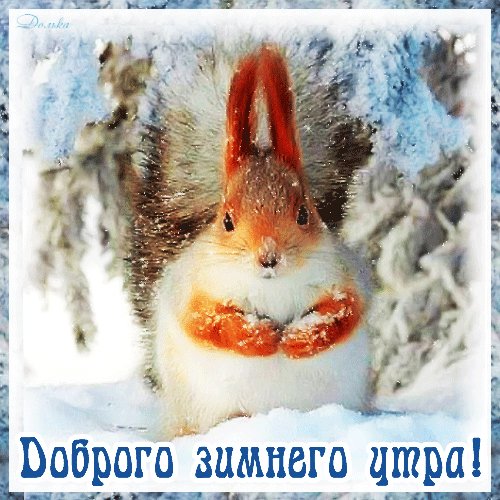 file_92670398