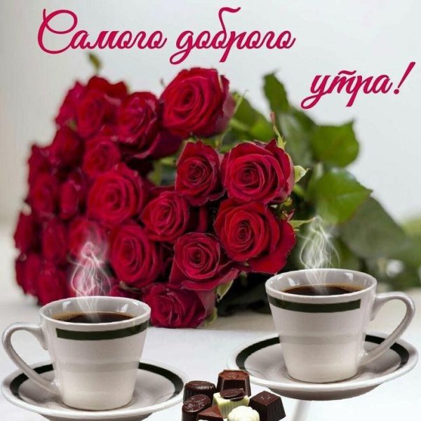 file_88695494